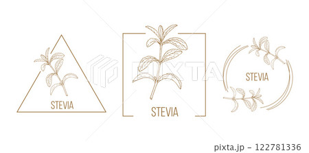 Stevia floral hand drawn logo template 122781336