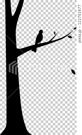 Silhouette of a Bird Perched on a Tree Branch, editable Silhouette of a Bird Perched on a Tree Branch, editable 122781677