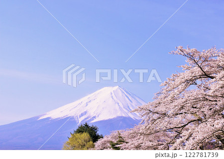 日本の春　富士山と桜 122781739