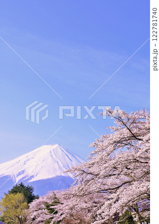 日本の春　富士山と桜 122781740