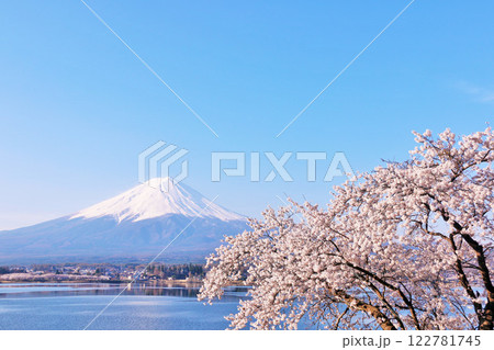 日本の春　富士山と桜 122781745