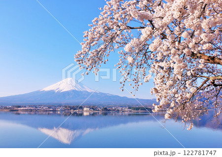 日本の春　富士山と桜 122781747