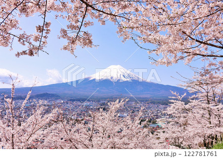 日本の春 富士山と桜 日本の春 富士山と桜 122781761
