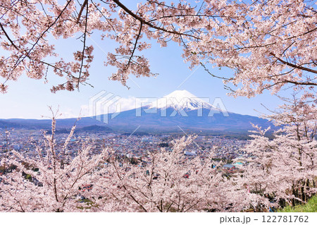 日本の春　富士山と桜 122781762