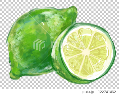Realistic watercolor illustration of fresh lime fruit and slices 122781832
