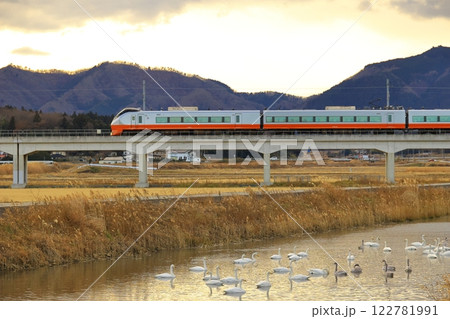白鳥と常磐線特急　ひたち号 122781991