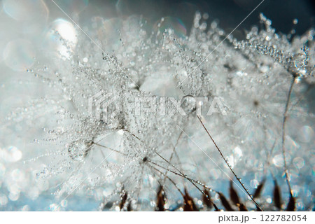 Macro nature. Beautiful dew drops on dandelion seed macro. Beautiful soft background. Water drops on parachutes dandelion. Copy space. soft focus on water droplets. circular shape, abstract background Macro nature. Beautiful dew drops on dandelion seed macro. Beautiful soft background. Water drops on parachutes dandelion. Copy space. soft focus on water droplets. circular shape, abstract background 122782054