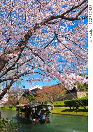 【京都府】晴天の月桂冠大倉記念館と満開の桜(伏見十石舟) 【京都府】晴天の月桂冠大倉記念館と満開の桜(伏見十石舟) 122782428