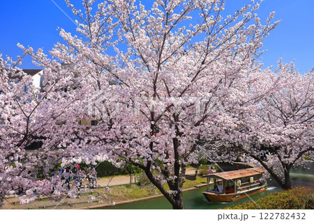 【京都府】晴天の伏見十石舟と満開の桜 122782432