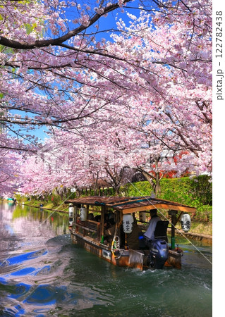 【京都府】晴天の伏見十石舟と満開の桜 122782438