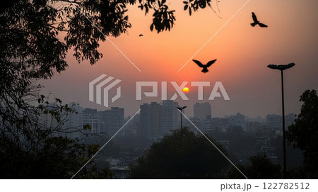 city skyline at sunset with birds flying and pollution haze 122782512