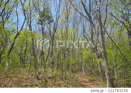 青空を背景に新緑芽吹く福島県霊山の登山道　Ver2 122783238
