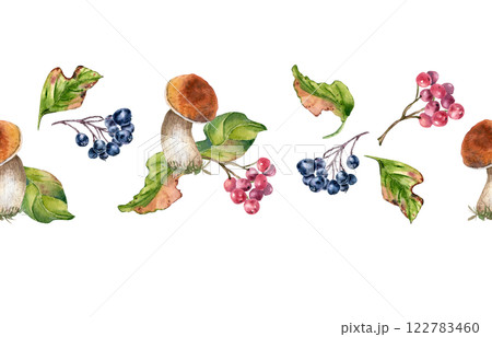 Autumn berries and mushrooms on seamless border. Viburnum berries and black chokeberry in watercolor isolated. Forest boletes and leaves painted. Colorful repeated texture with wild woodland plants. 122783460