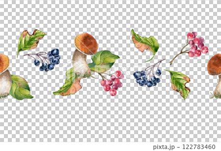 Autumn berries and mushrooms on seamless border. Viburnum berries and black chokeberry in watercolor isolated. Forest boletes and leaves painted. Colorful repeated texture with wild woodland plants. 122783460