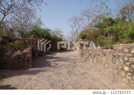 インド 世界遺産ラージャスターンの丘陵城塞群 ランタンボール城 インド 世界遺産ラージャスターンの丘陵城塞群 ランタンボール城 122783737