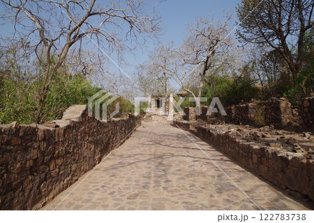 インド　世界遺産ラージャスターンの丘陵城塞群　ランタンボール城 122783738