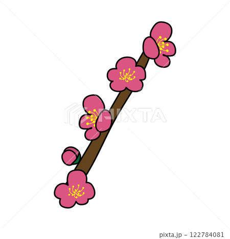 枝付きの梅の花1 122784081