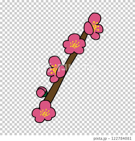枝付きの梅の花1 122784081