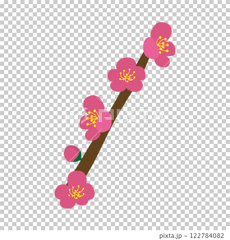 枝付きの梅の花2 122784082
