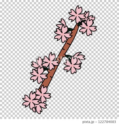 枝付きの桜の花1 122784083