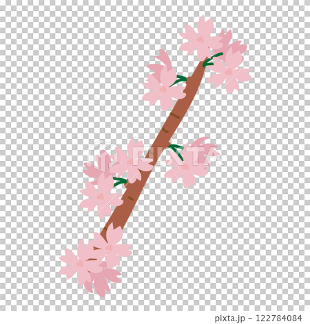 枝付きの桜の花2 122784084