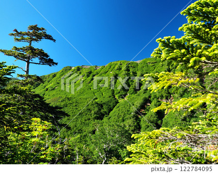 【山の風景】富山県・北アルプス・薬師沢小屋~岩苔乗越・水晶岳方面の山稜(2023年) 【山の風景】富山県・北アルプス・薬師沢小屋~岩苔乗越・水晶岳方面の山稜(2023年) 122784095