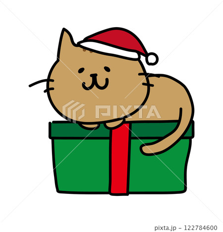 クリスマスプレゼントの上でまるくなる茶色い猫 クリスマスプレゼントの上でまるくなる茶色い猫 122784600