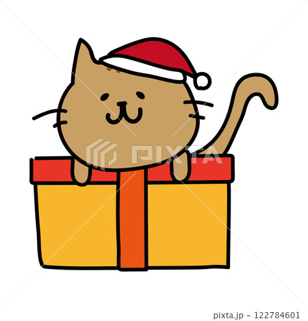 クリスマスプレゼントの上に乗る茶色い猫 122784601