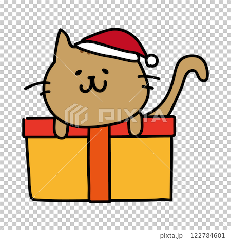 クリスマスプレゼントの上に乗る茶色い猫 122784601