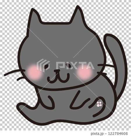 毛繕いする黒い猫 毛繕いする黒い猫 122784608