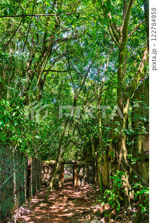 Old ruins of notorious penal colony in Saint Joseph Island, Salvation Islands, French Guiana, South America 122784958