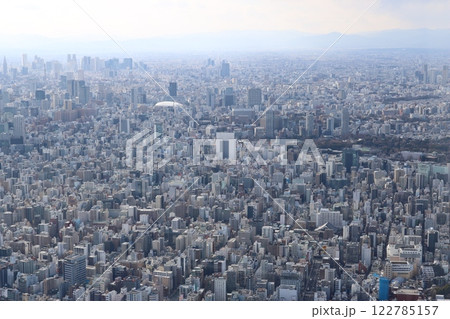 スカイツリー　東京の街　曇り空からみた東京　 122785157