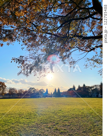 夕日がまぶしい公園の風景 夕日がまぶしい公園の風景 122785488