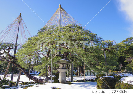 兼六園の冬の風物詩である松の雪吊り 122786363