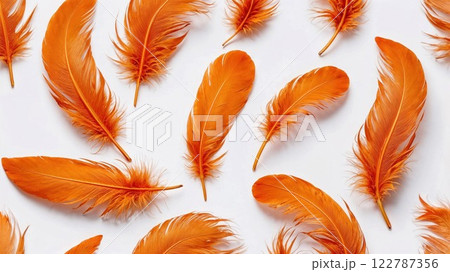 Vibrant orange feathers arranged elegantly on a white background, creating a minimalist yet dynamic display of texture, color, and natural beauty 122787356