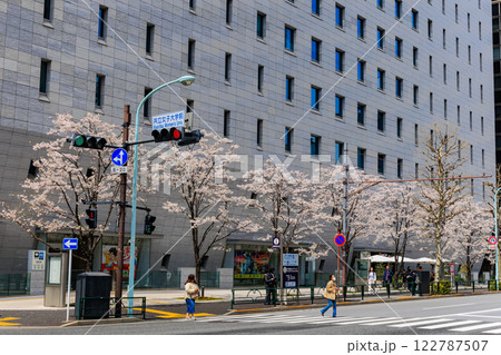 東京 千代田区 一ツ橋 小学館前の桜 東京 千代田区 一ツ橋 小学館前の桜 122787507