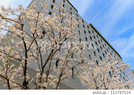 東京　千代田区 一ツ橋　小学館前の桜 122787510