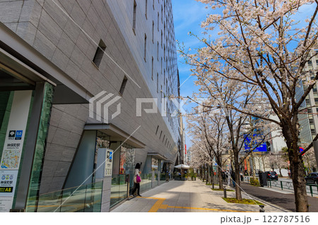東京　千代田区 一ツ橋　小学館前の桜 122787516