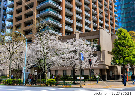 東京 千代田区 神田神保町 東京パークタワー前の桜 東京 千代田区 神田神保町 東京パークタワー前の桜 122787521