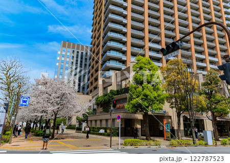 東京　千代田区 神田神保町　東京パークタワー前の桜 122787523
