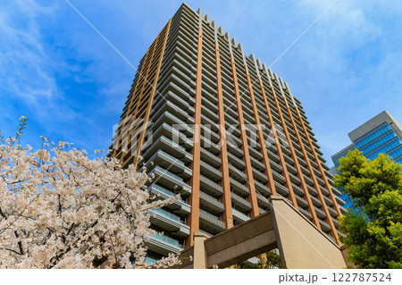 東京 千代田区 神田神保町 東京パークタワー前の桜 東京 千代田区 神田神保町 東京パークタワー前の桜 122787524