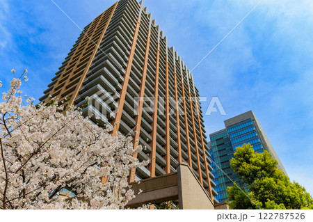 東京　千代田区 神田神保町　東京パークタワー前の桜 122787526