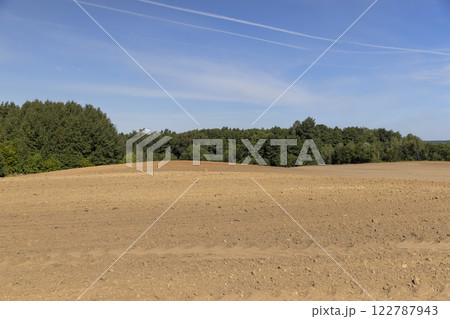 trees growing in the forest in spring next to the field on which the soil was plowed for sowing grain 122787943