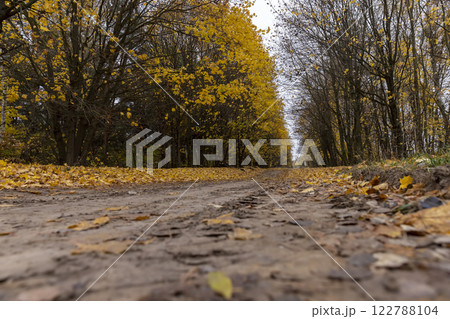 in the autumn season with trees and a concrete road, the asphalt layer of which is collapsing 122788104