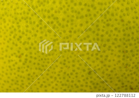 details of the citrus peel green during ripening with a yellow tint details of the citrus peel green during ripening with a yellow tint 122788112