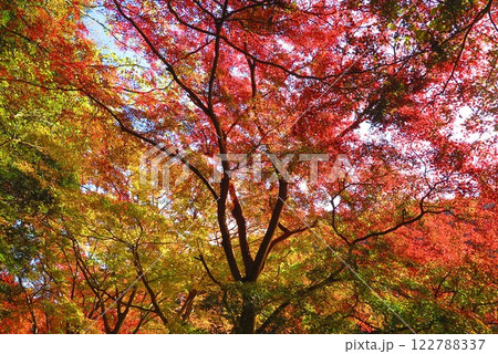 紅葉で色づく湖とその周辺の風景14 紅葉で色づく湖とその周辺の風景14 122788337