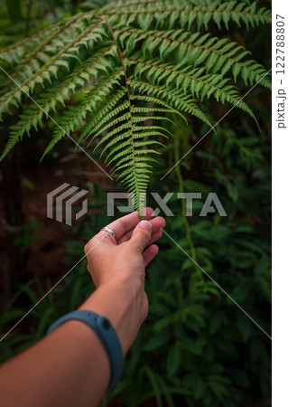 walk in Perdana Botanical Garden, Kuala Lumpur , Malaysia walk in Perdana Botanical Garden, Kuala Lumpur , Malaysia 122788807