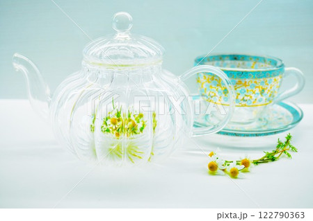 白バックに準備された生の花で作るジャーマンカモミールティのティーセット 122790363