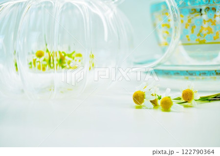 白背景にカモミールの生の花で作るカモミールティー 白背景にカモミールの生の花で作るカモミールティー 122790364
