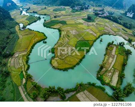 Aerial top view of Green rice field at northern vietnam,Beautiful destination in Northern Vietnam,Travel and landscape concept, Nature and rice fields background 122791106